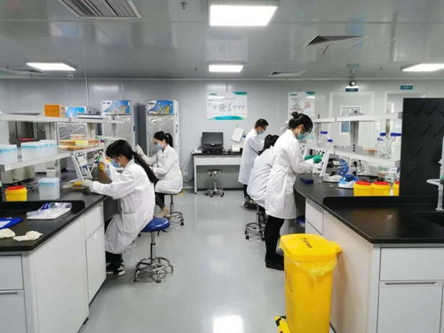 一人一窗一道景，一言一行一份情 網絡技術服務的溫度與價值